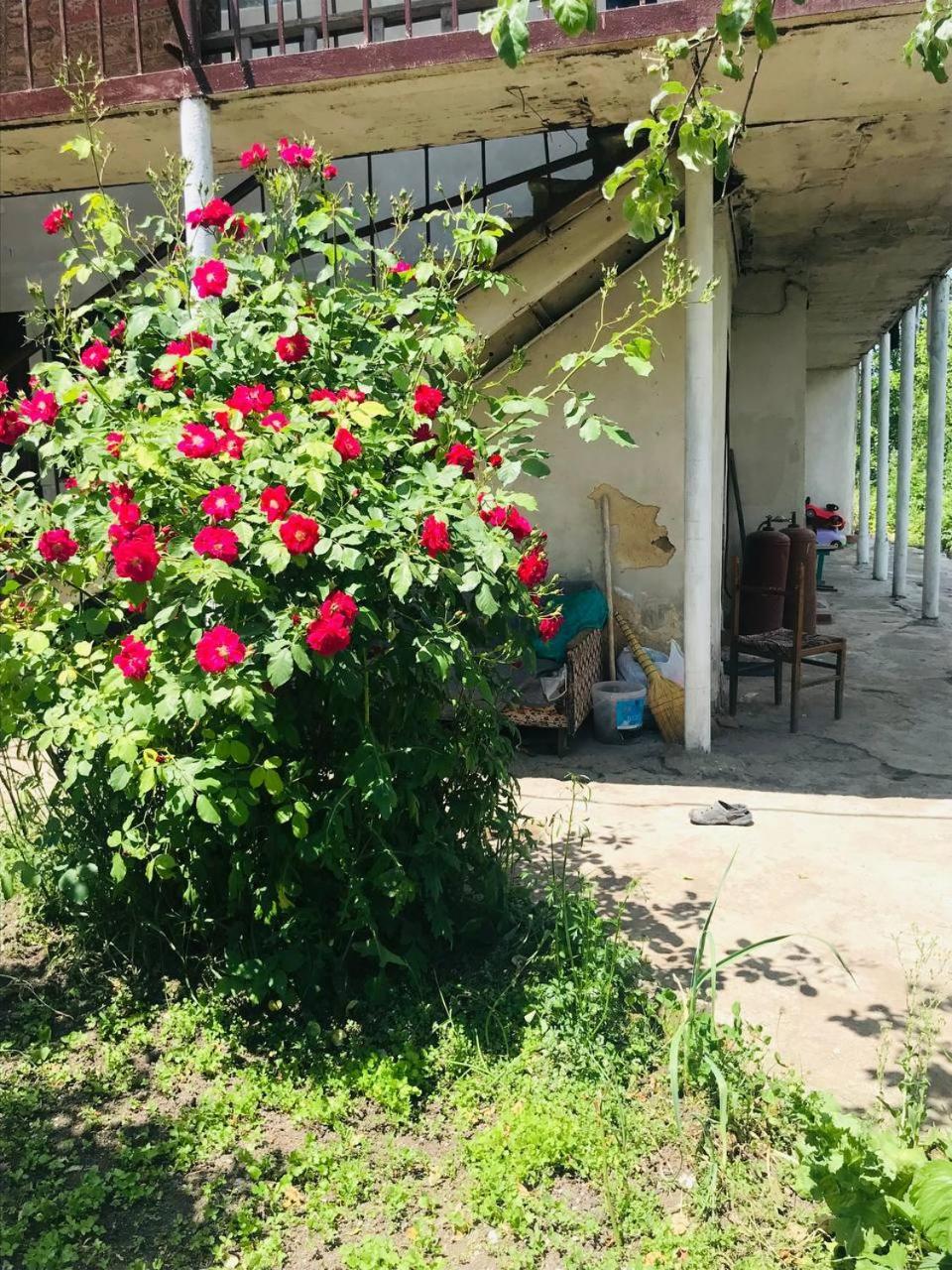 Dzoragyugh B&B מראה חיצוני תמונה